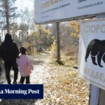 Over 3,000 bears culled in Russia after wave of deadly attacks: ‘we’ve never had this’